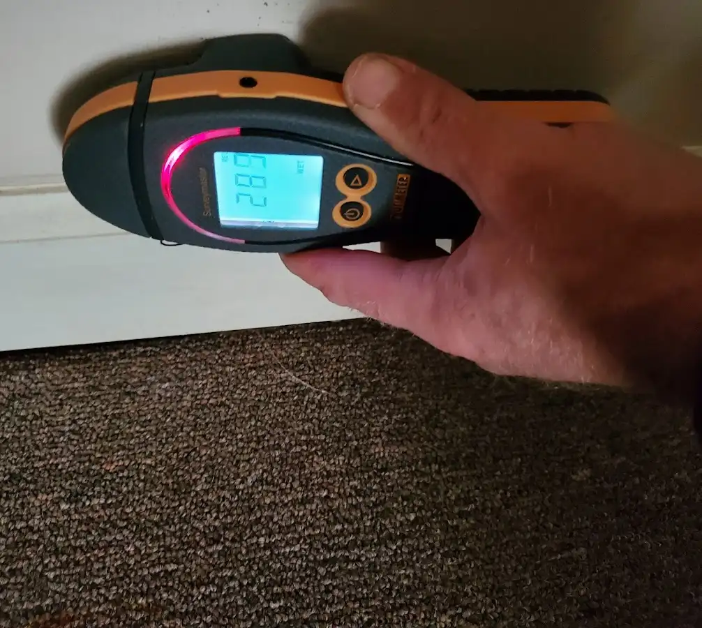 Moisture detection at baseboard during Mold Inspection & Testing in Silver City